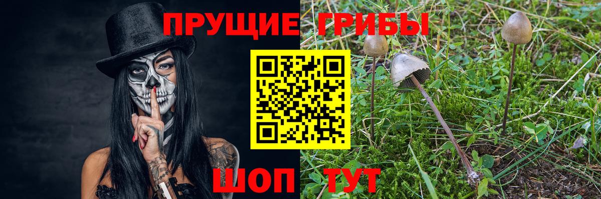 Галлюциногенные грибы Magic Shrooms Назарово